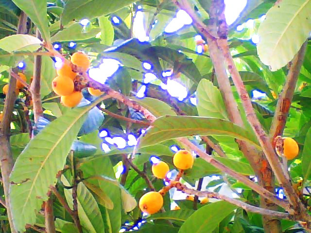 f:id:amenomorino:20140826193639j:plain f:id:amenomorino:20140826193639j:plain