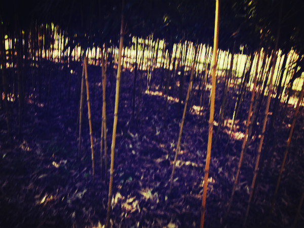 f:id:amenomorino:20140926075111j:plain f:id:amenomorino:20140926075111j:plain