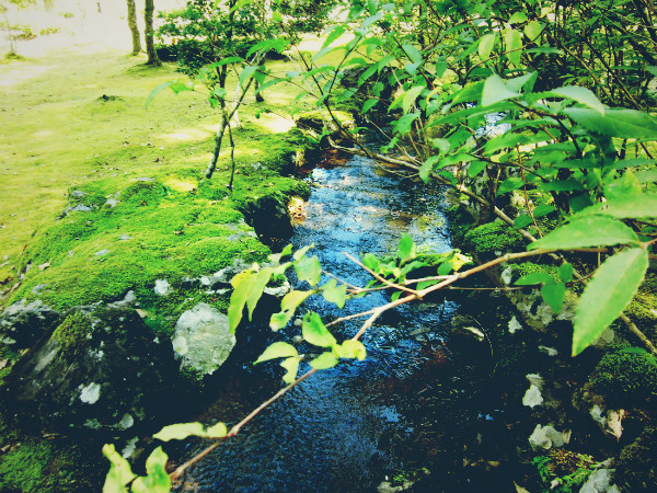 f:id:amenomorino:20140927201646j:plain f:id:amenomorino:20140927201646j:plain
