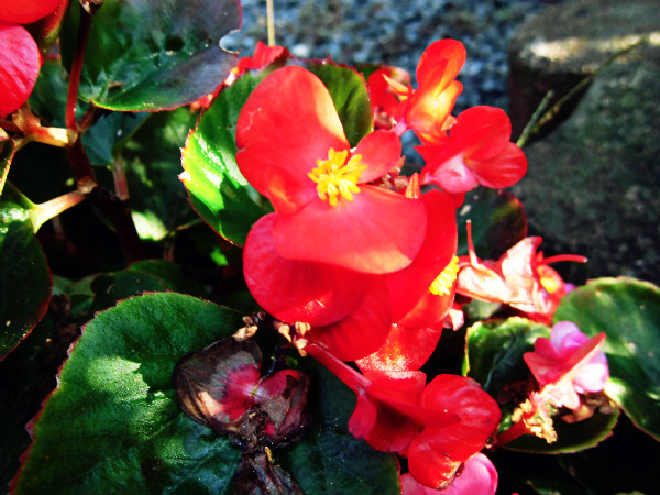 f:id:amenomorino:20141006132039j:plain f:id:amenomorino:20141006132039j:plain