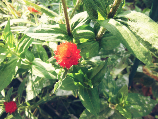f:id:amenomorino:20141010174314j:plain f:id:amenomorino:20141010174314j:plain