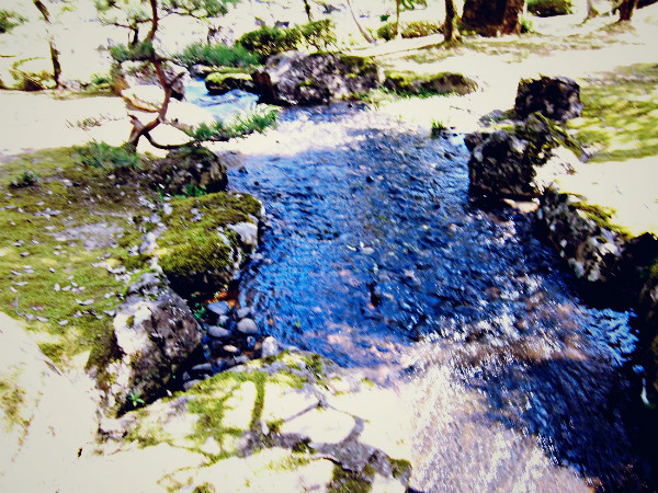 f:id:amenomorino:20141018191336j:plain f:id:amenomorino:20141018191336j:plain