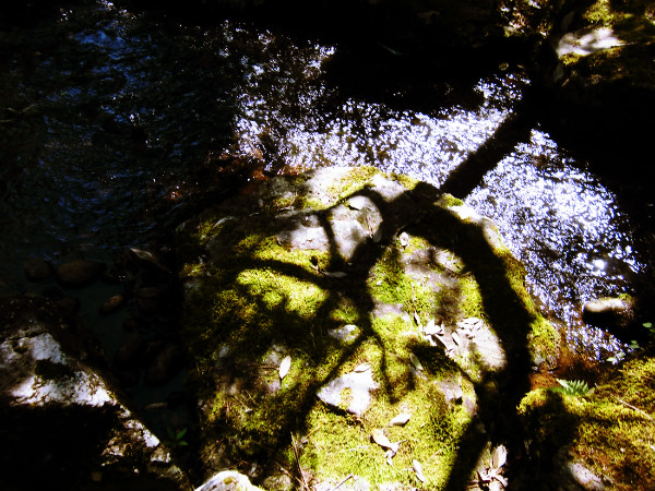 f:id:amenomorino:20141018191520j:plain f:id:amenomorino:20141018191520j:plain