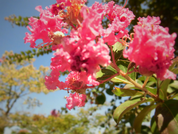 f:id:amenomorino:20141018191842j:plain f:id:amenomorino:20141018191842j:plain