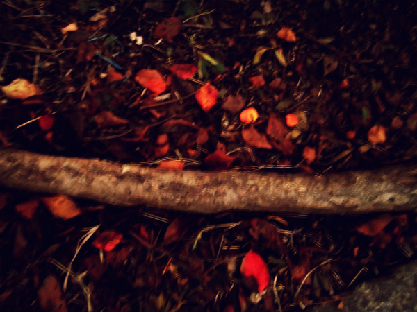 f:id:amenomorino:20141020071110j:plain f:id:amenomorino:20141020071110j:plain