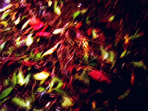 f:id:amenomorino:20141020071326j:plain f:id:amenomorino:20141020071326j:plain
