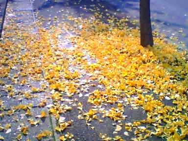 f:id:amenomorino:20141023174039j:plain f:id:amenomorino:20141023174039j:plain