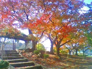 f:id:amenomorino:20141023174123j:plain f:id:amenomorino:20141023174123j:plain