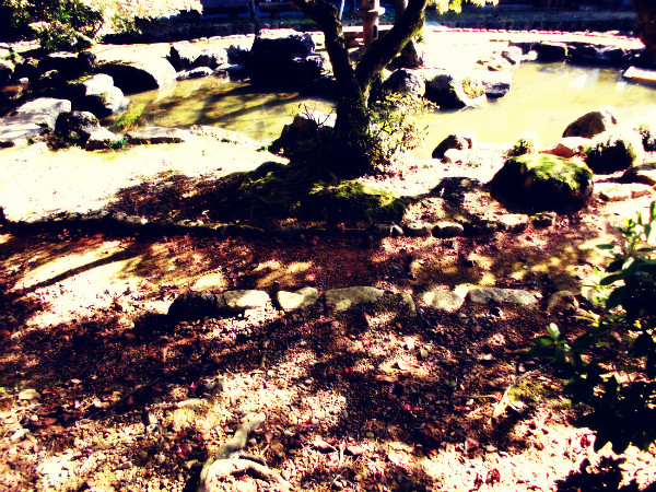 f:id:amenomorino:20141027063142j:plain f:id:amenomorino:20141027063142j:plain