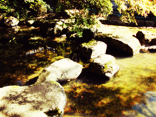 f:id:amenomorino:20141027063613j:plain f:id:amenomorino:20141027063613j:plain