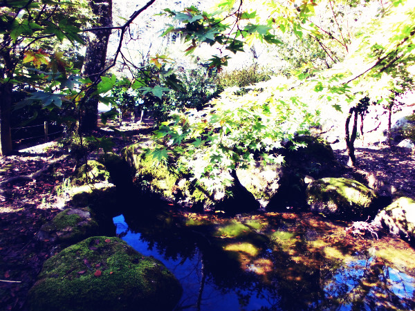 f:id:amenomorino:20141027063730j:plain f:id:amenomorino:20141027063730j:plain
