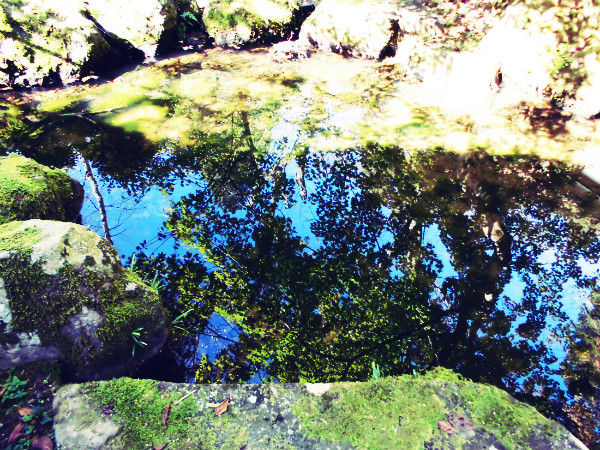 f:id:amenomorino:20141027063746j:plain f:id:amenomorino:20141027063746j:plain