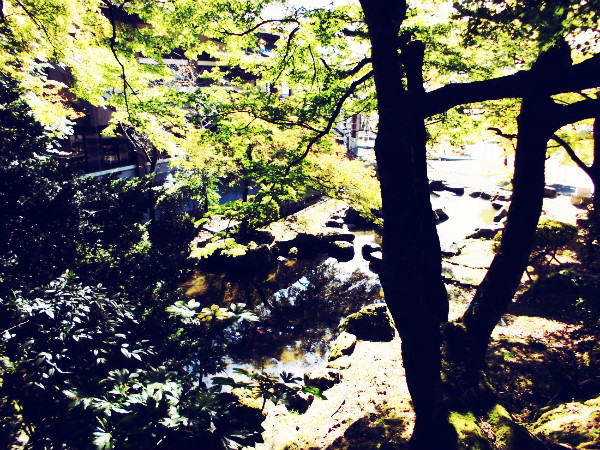 f:id:amenomorino:20141028074506j:plain f:id:amenomorino:20141028074506j:plain