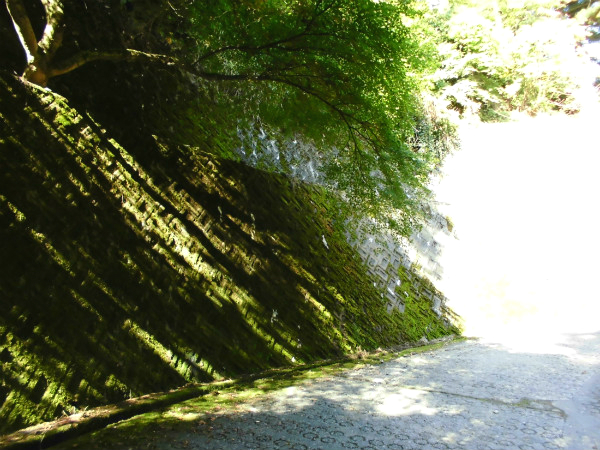 f:id:amenomorino:20141031163351j:plain f:id:amenomorino:20141031163351j:plain
