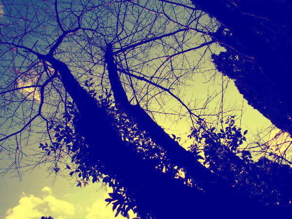f:id:amenomorino:20141031163718j:plain f:id:amenomorino:20141031163718j:plain