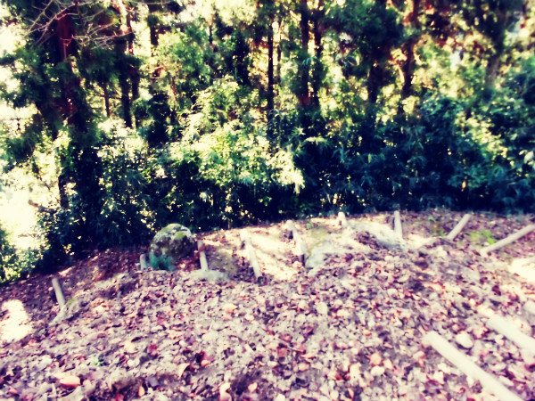 f:id:amenomorino:20141031202039j:plain f:id:amenomorino:20141031202039j:plain