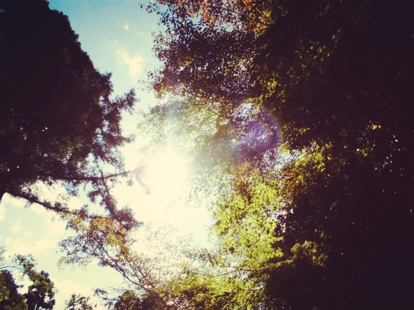 f:id:amenomorino:20141031202249j:plain f:id:amenomorino:20141031202249j:plain