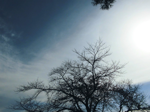 f:id:amenomorino:20141117072103j:plain f:id:amenomorino:20141117072103j:plain