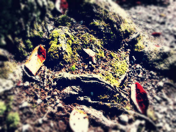 f:id:amenomorino:20141121210242j:plain f:id:amenomorino:20141121210242j:plain
