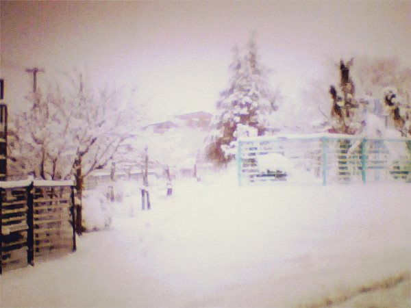 f:id:amenomorino:20141208115338j:plain f:id:amenomorino:20141208115338j:plain