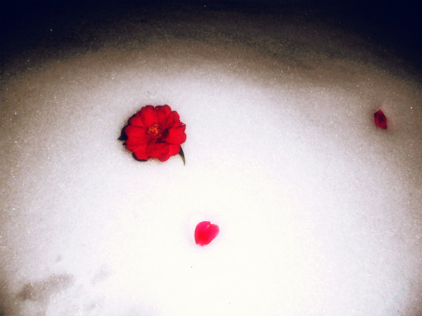 f:id:amenomorino:20141209181404j:plain f:id:amenomorino:20141209181404j:plain