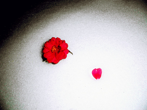 f:id:amenomorino:20141209181518j:plain f:id:amenomorino:20141209181518j:plain