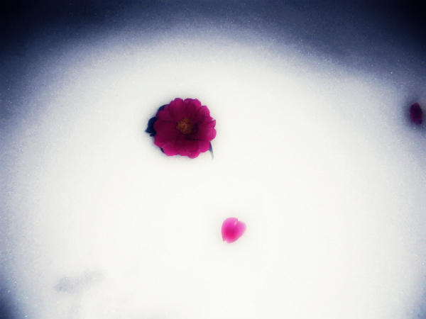 f:id:amenomorino:20141209182313j:plain f:id:amenomorino:20141209182313j:plain