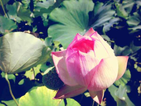 f:id:amenomorino:20141217082212j:plain f:id:amenomorino:20141217082212j:plain