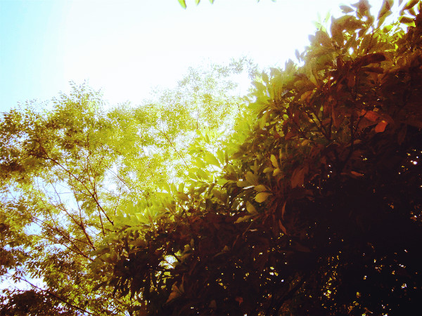 f:id:amenomorino:20141217173921j:plain f:id:amenomorino:20141217173921j:plain