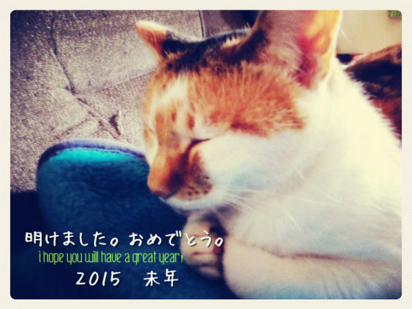 f:id:amenomorino:20141229212506j:plain f:id:amenomorino:20141229212506j:plain