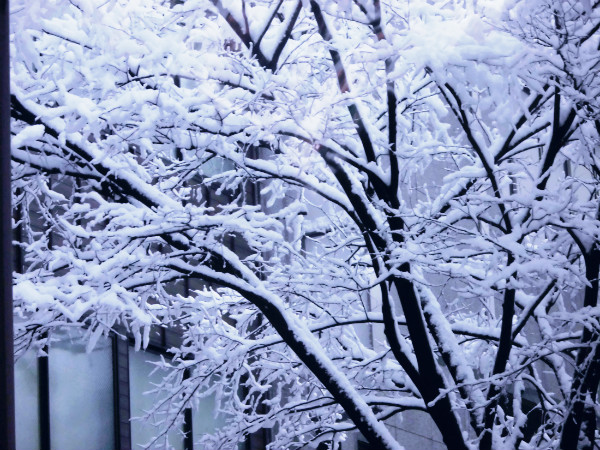 f:id:amenomorino:20150104160710j:plain f:id:amenomorino:20150104160710j:plain