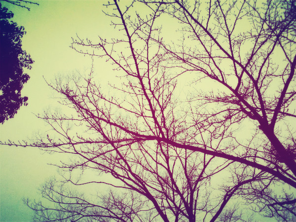 f:id:amenomorino:20150112174056j:plain f:id:amenomorino:20150112174056j:plain