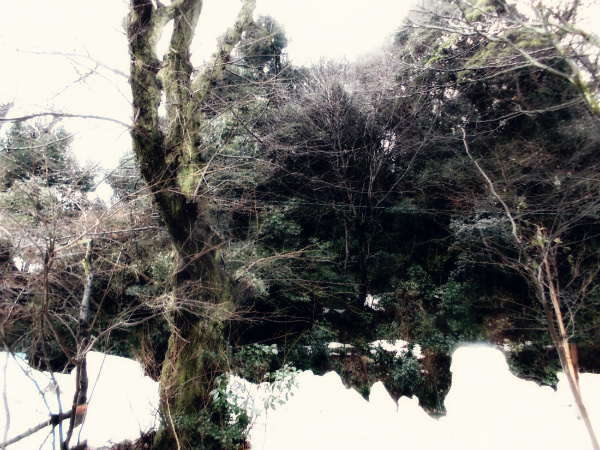 f:id:amenomorino:20150113164303j:plain f:id:amenomorino:20150113164303j:plain