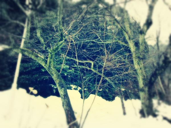 f:id:amenomorino:20150113184948j:plain f:id:amenomorino:20150113184948j:plain
