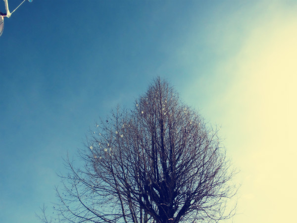 f:id:amenomorino:20150119063504j:plain f:id:amenomorino:20150119063504j:plain