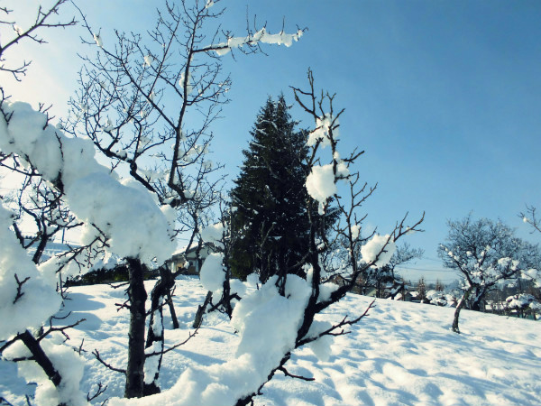 f:id:amenomorino:20150120191612j:plain f:id:amenomorino:20150120191612j:plain