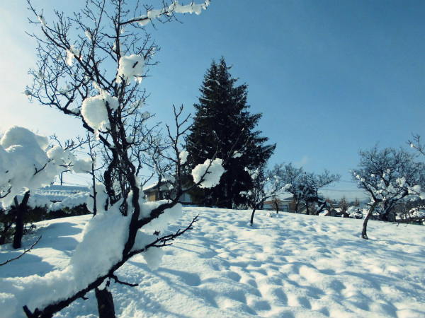 f:id:amenomorino:20150120191618j:plain f:id:amenomorino:20150120191618j:plain