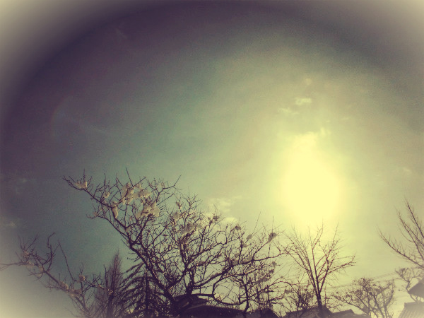 f:id:amenomorino:20150120191917j:plain f:id:amenomorino:20150120191917j:plain