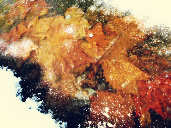f:id:amenomorino:20150121170324j:plain f:id:amenomorino:20150121170324j:plain