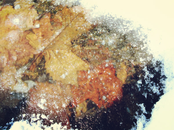 f:id:amenomorino:20150121170330j:plain f:id:amenomorino:20150121170330j:plain