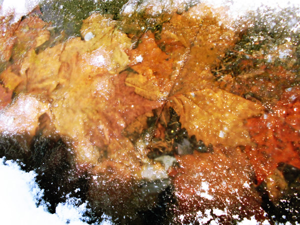 f:id:amenomorino:20150121171930j:plain f:id:amenomorino:20150121171930j:plain