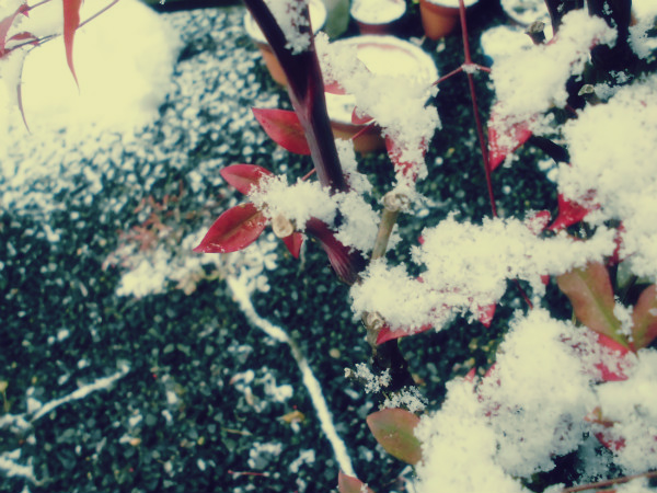 f:id:amenomorino:20150128091236j:plain f:id:amenomorino:20150128091236j:plain
