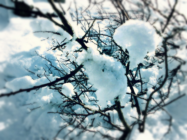f:id:amenomorino:20150211184321j:plain f:id:amenomorino:20150211184321j:plain