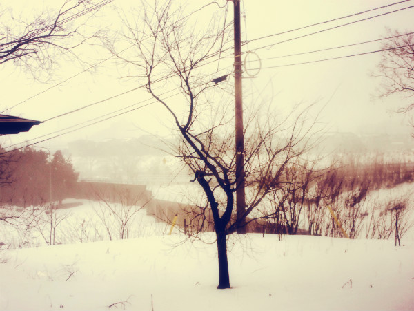f:id:amenomorino:20150216063131j:plain f:id:amenomorino:20150216063131j:plain