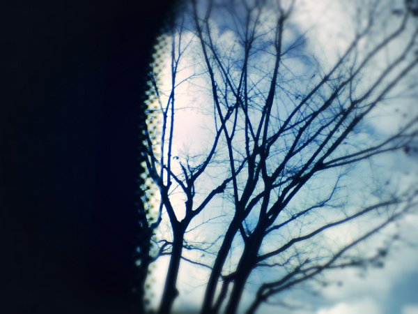f:id:amenomorino:20150220173348j:plain f:id:amenomorino:20150220173348j:plain