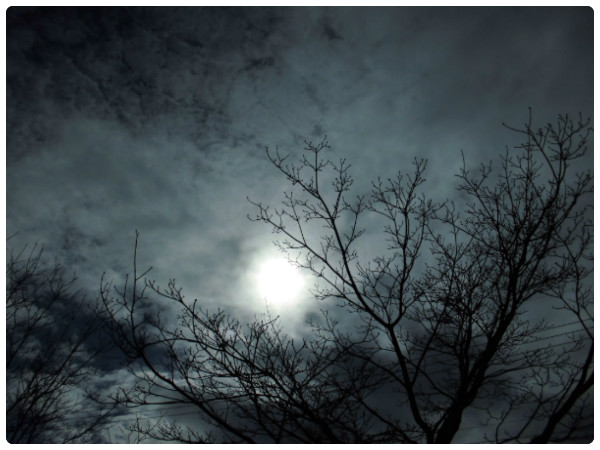f:id:amenomorino:20150223165619j:plain f:id:amenomorino:20150223165619j:plain