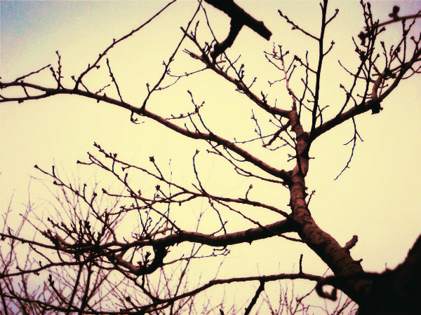 f:id:amenomorino:20150227172409j:plain f:id:amenomorino:20150227172409j:plain