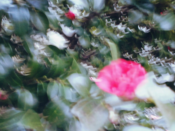 f:id:amenomorino:20150227173100j:plain f:id:amenomorino:20150227173100j:plain