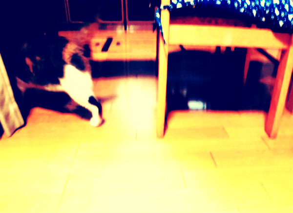 f:id:amenomorino:20150227173548j:plain f:id:amenomorino:20150227173548j:plain