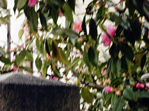 f:id:amenomorino:20150316063711j:plain f:id:amenomorino:20150316063711j:plain